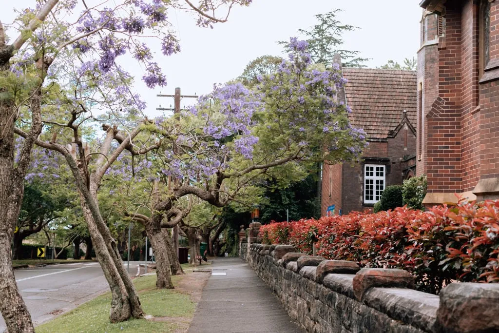 North Shore, Sydney